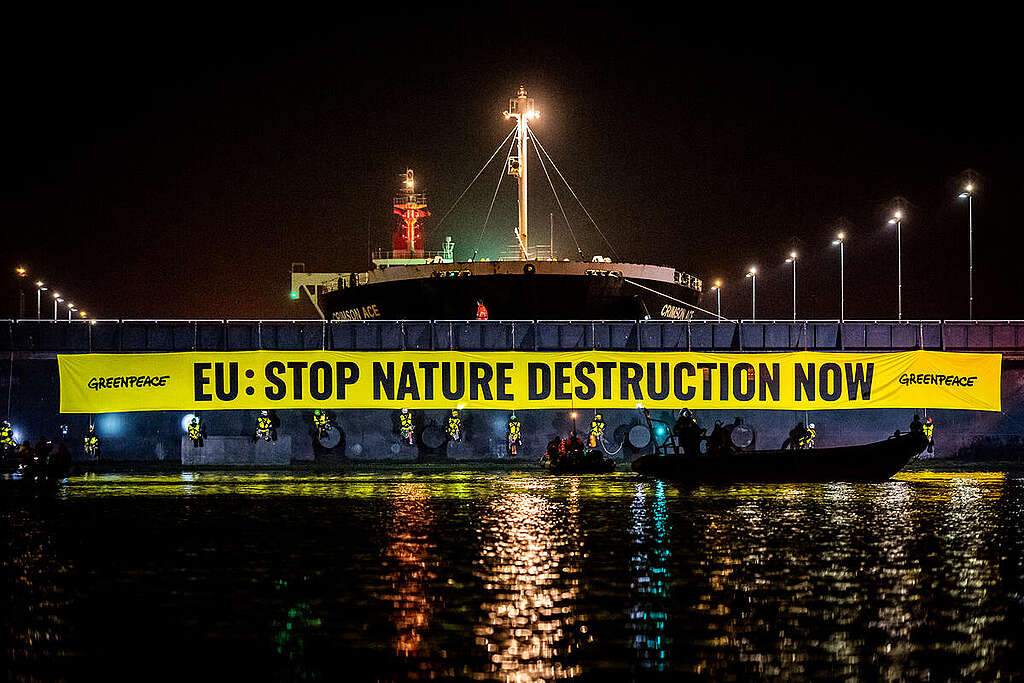 Activists Block Soy Ship in IJmuiden Lock. © Marten van Dijl / Greenpeace