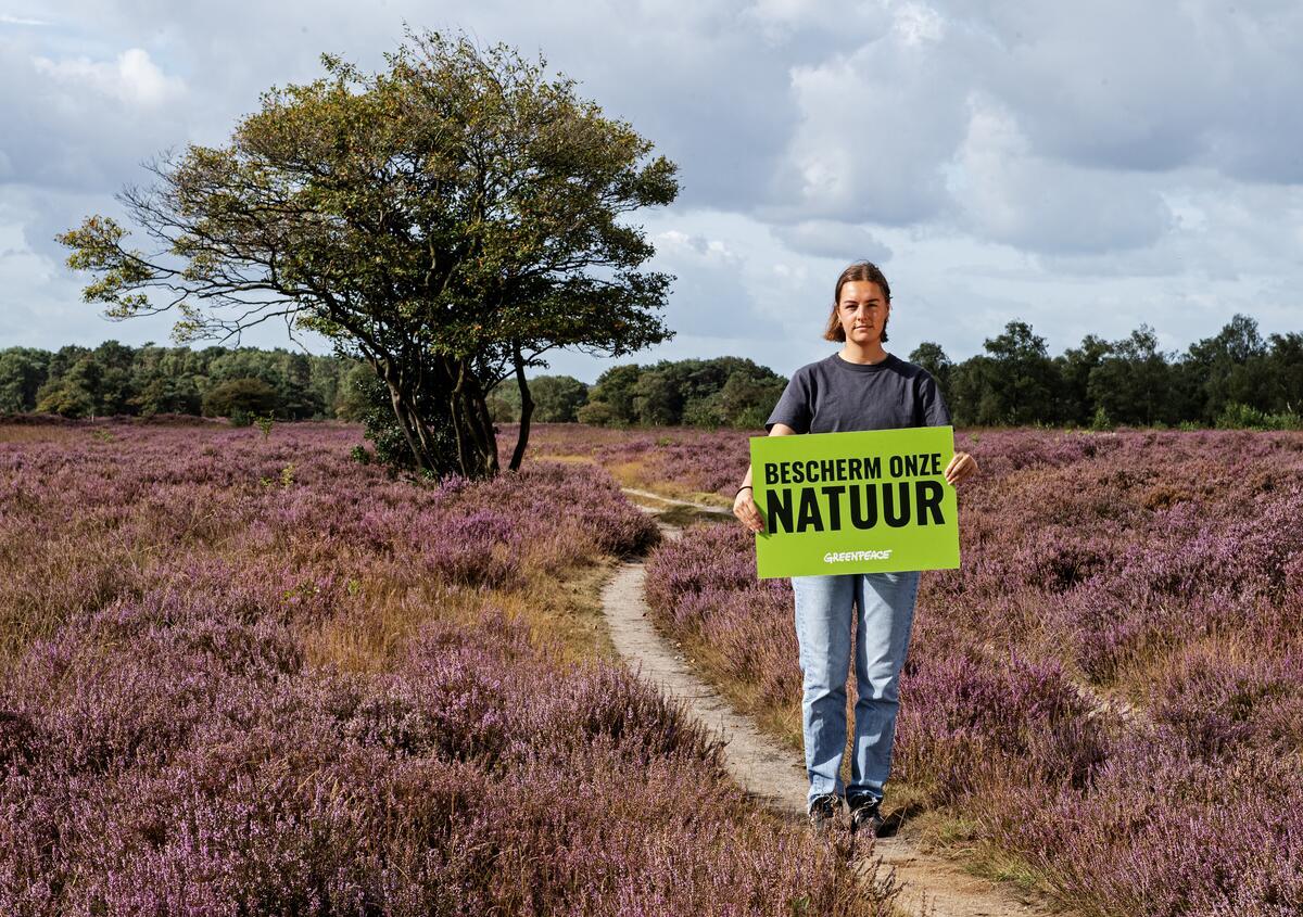 Reactie Greenpeace op de stikstofpakket van het kabinet