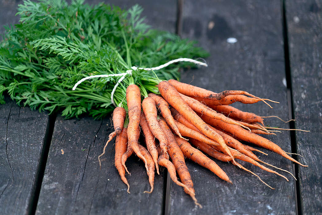 Minigids: kleine moestuin grote opbrengst