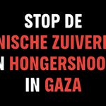 Greenpeace eist internationale verantwoording voor de etnische zuivering en hongersnood in Gaza