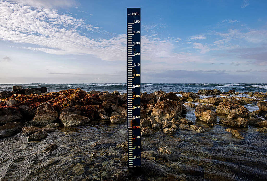 Water meter indicating sea level on Bonaire. © Marten van Dijl / Greenpeace