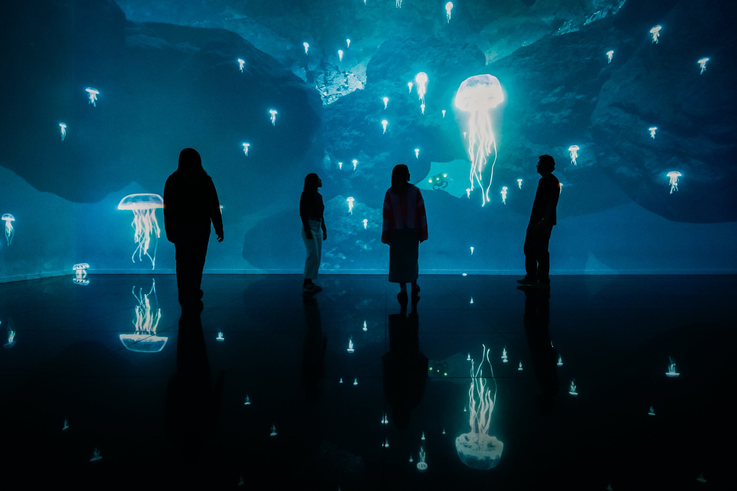 Fabrique des Lumières en Greenpeace: ‘Bescherm de oceanen’