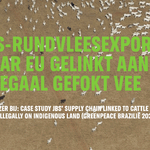 JBS-rundvleesexport naar EU gelinkt aan illegaal gefokt vee 