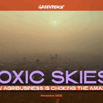 Toxic Skies: how agribusiness is choking the Amazon