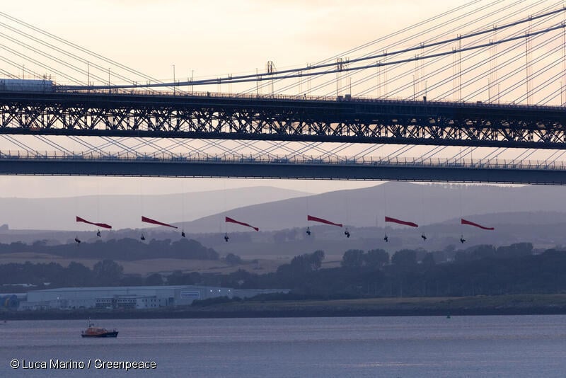 Het jaar in vogelvlucht
