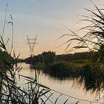 ‘Mestruzie’: rampzalige plannen van minister Wiersma