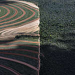 The region between the states of Maranhão, Tocantins, Piauí and Bahia, known as MATOPIBA in Brazil., is considered the showcase of Brazilian agribusiness, with a high productions of soy and corn for export. However, this predatory model has rushed deforestation in the biome’s region, Cerrado, which is one of the most threatened biomes in Brazil and extremely important for the supply of aquifers throughout Latin America. The agribusiness expansion puts traditional communities and natural resources at risk.
A Greenpeace study shows that this sick model of production does not create a balanced wealth, but the opposite.