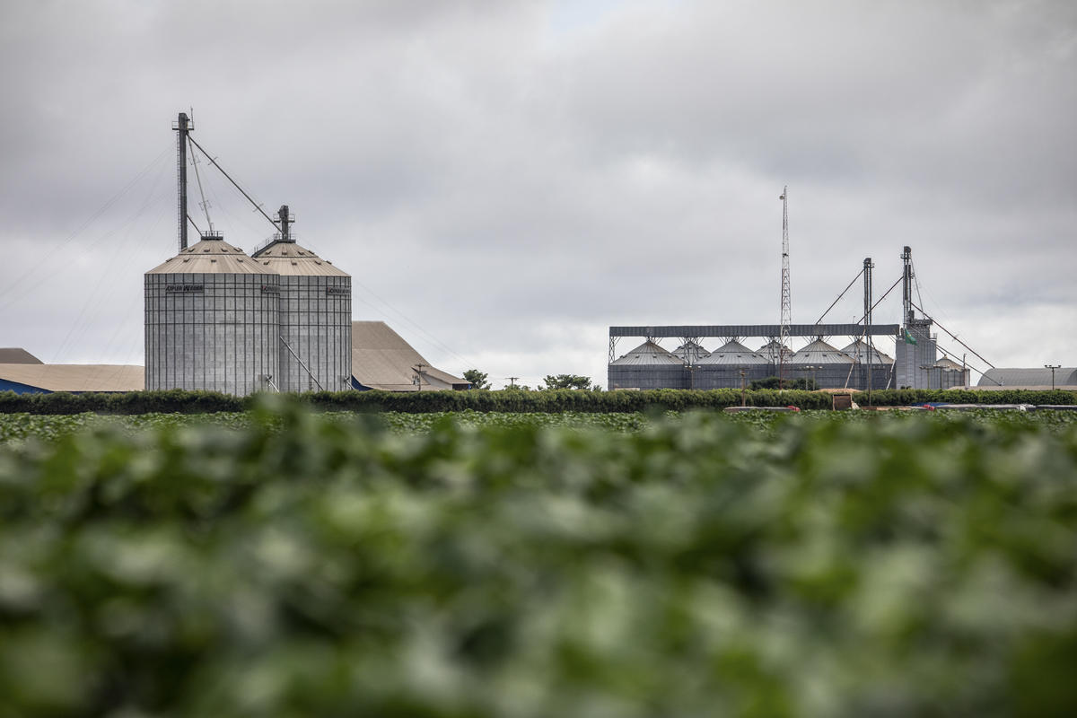Silo in Bahia State, Brazil. © Victor Moriyama / Greenpeace