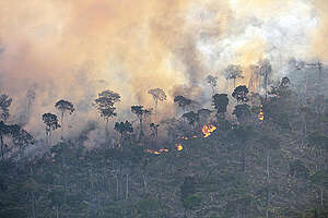 Aerial Monitoring of Fires and Deforestation in the Amazon. &copy; Marizilda Cruppe / Greenpeace