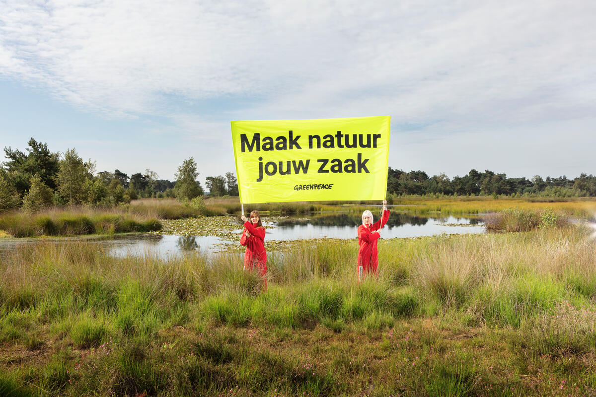 Unique nature is under serious pressure in many places in the Netherlands. Some plants, animals and insects are in danger of disappearing forever. In some places, nature is even already damaged beyond repair. Decades of excessive nitrogen emissions are one of the biggest causes of this. This photo campaign is part of the Nature Cause.