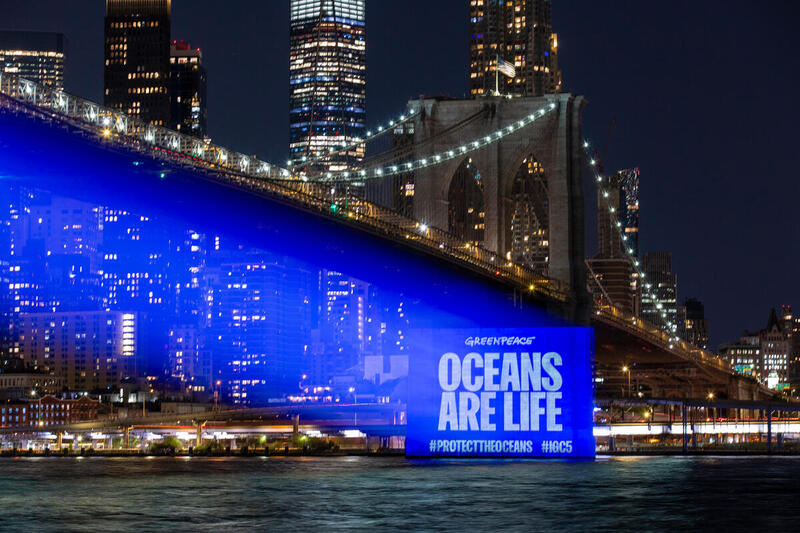 Protect the Oceans Projection onto Brooklyn Bridge Een projectie op de Brooklyn Bridge in New York om aandacht te vragen voor bescherming van de oceaan.