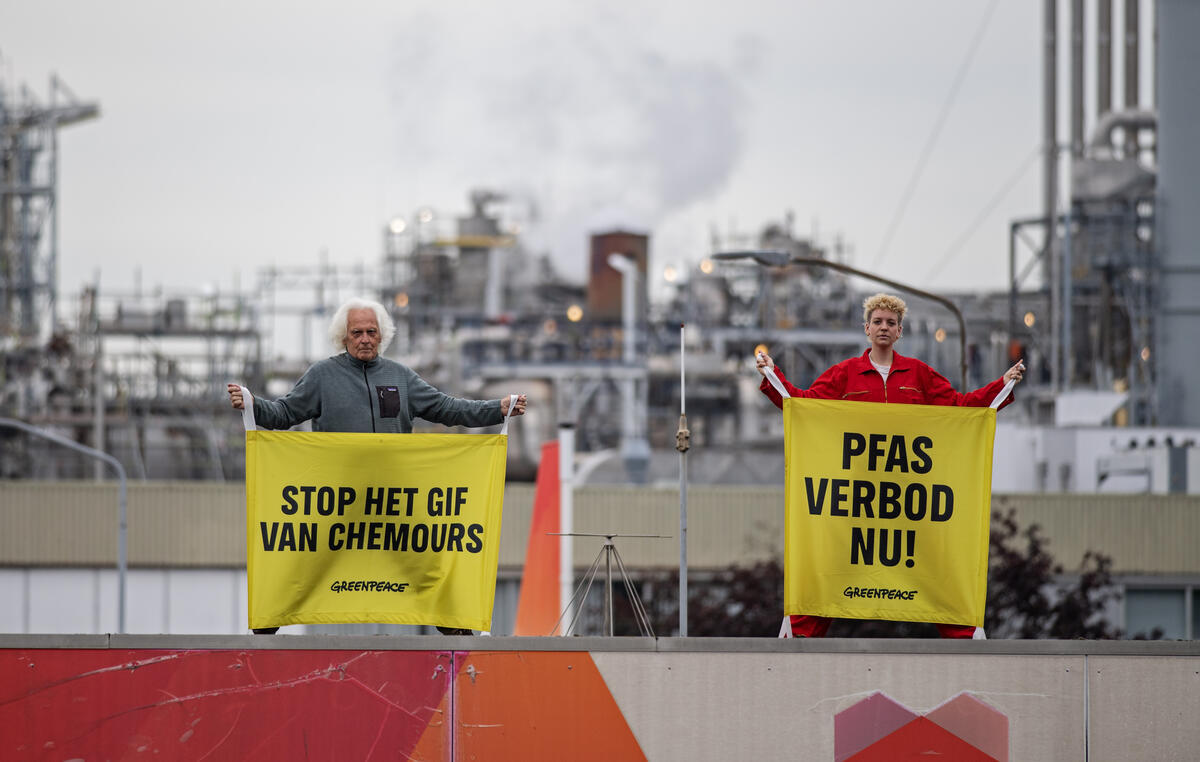 Activists Increase Pressure on Chemours and Demands End to Illegal PFAS Discharges in Netherlands. © Marten van Dijl / Greenpeace