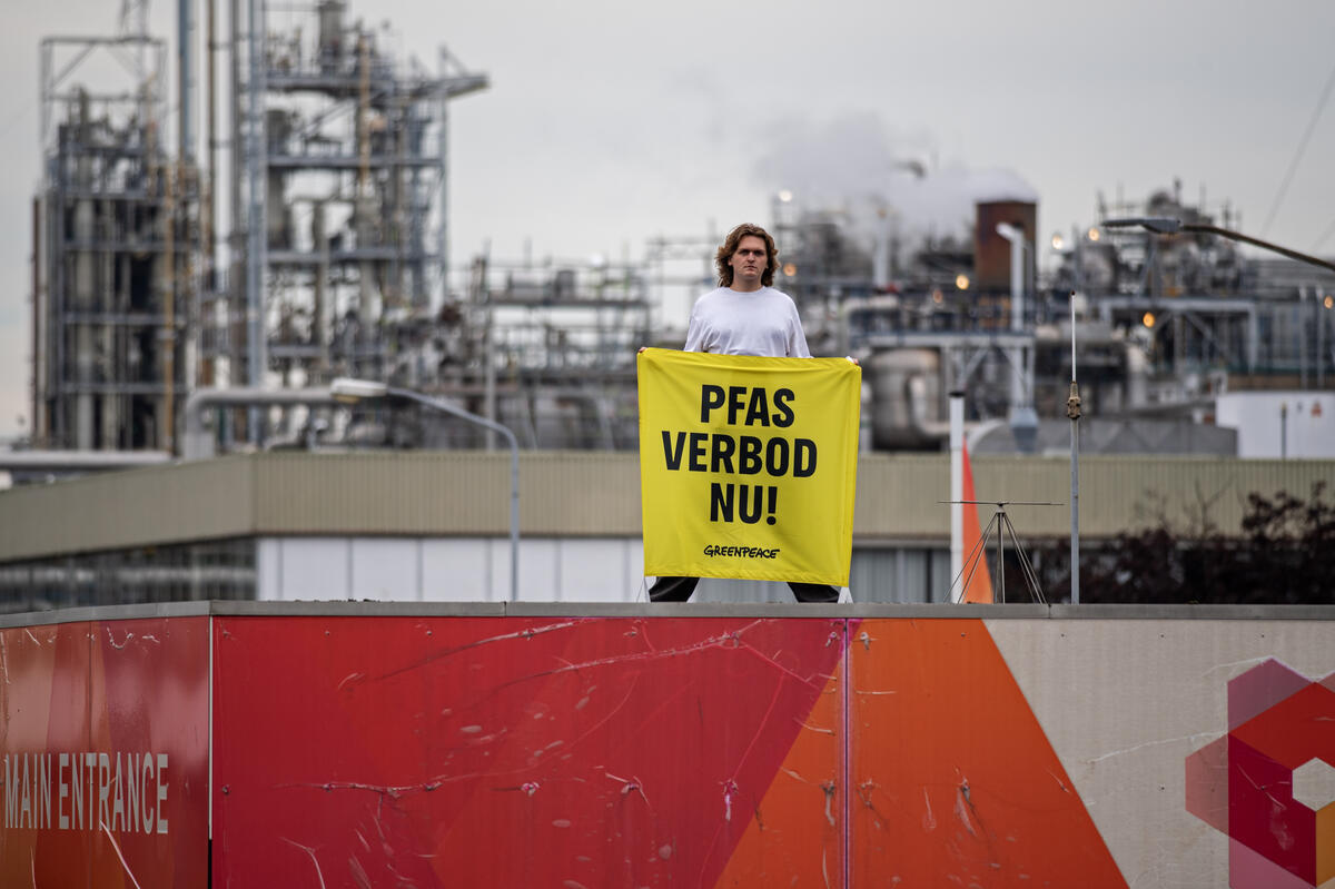 Activists Increase Pressure on Chemours and Demand End to Illegal PFAS Discharges in Netherlands. © Marten van Dijl / Greenpeace