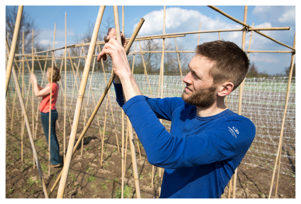 Ecological Farmers in the Netherlands. © Bas Beentjes / Greenpeace