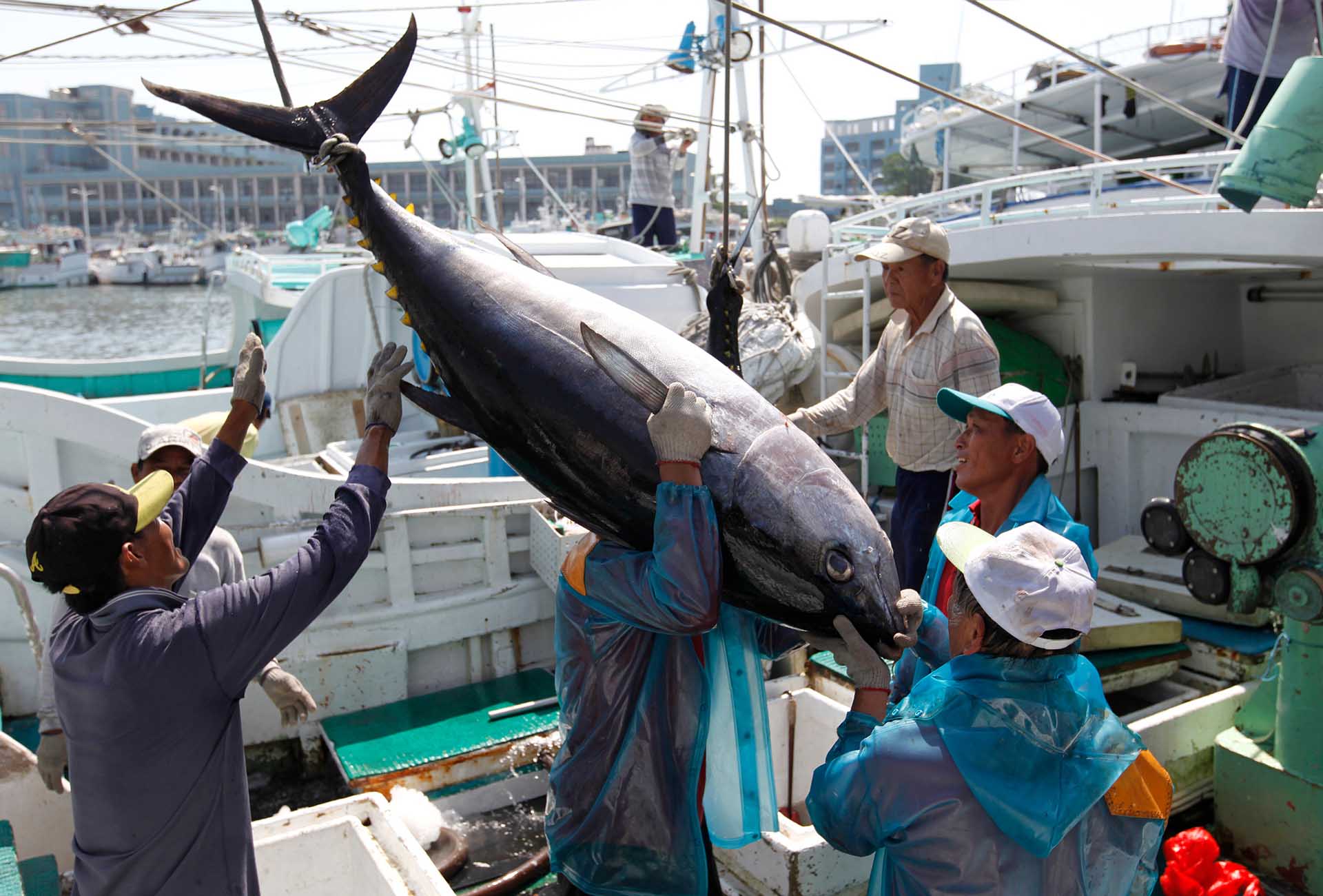 Winning on the world’s largest tuna company and what it means for the