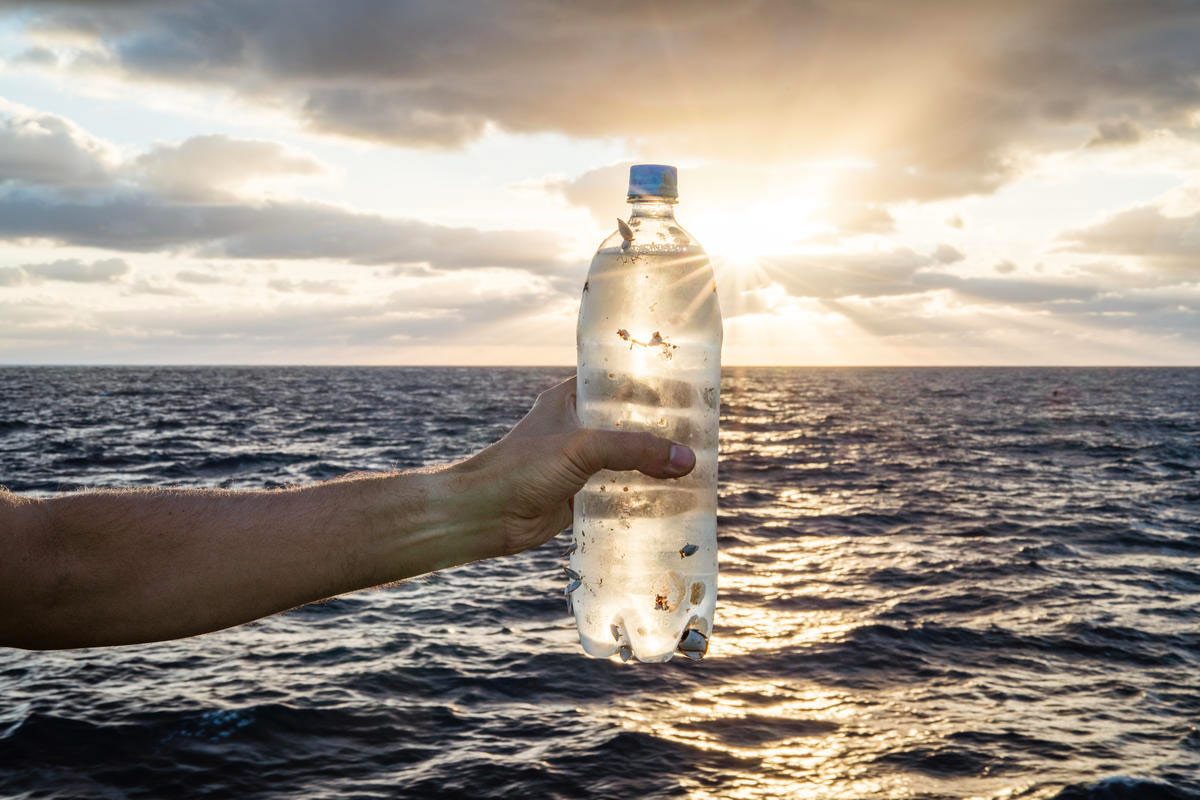 bottle-refund-scheme-breakthrough-for-plastic-crisis-greenpeace-new