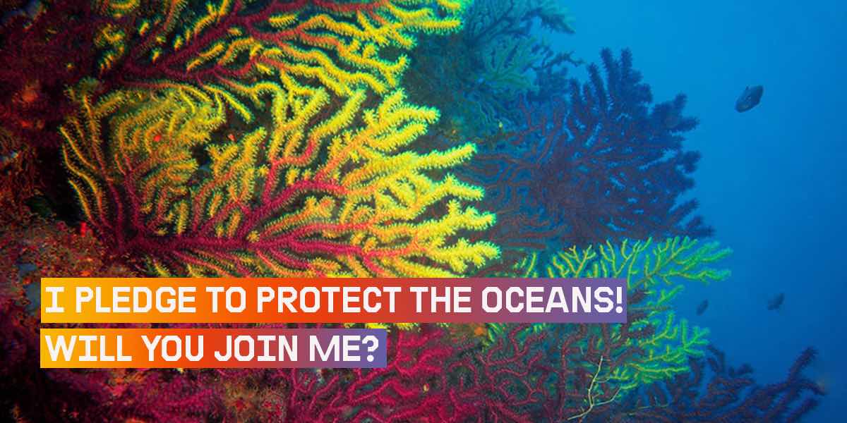 I pledge to protect the oceans | Greenpeace