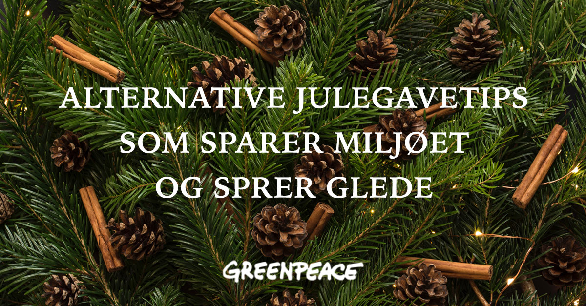 Alternative julegaver som sparer miljøet og sprer glede