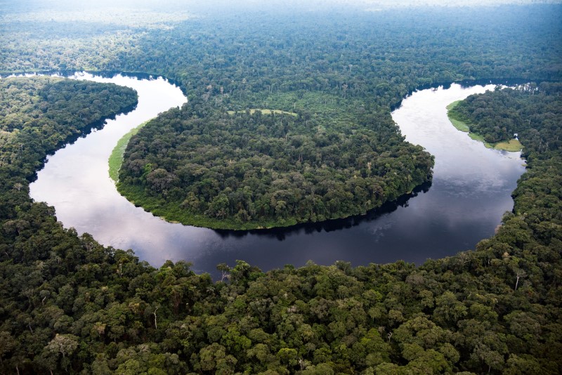 Et flyfoto av tett, grønn skog i DR Kongo. En bred elv slynger seg som en hestesko gjennom landskapet. 