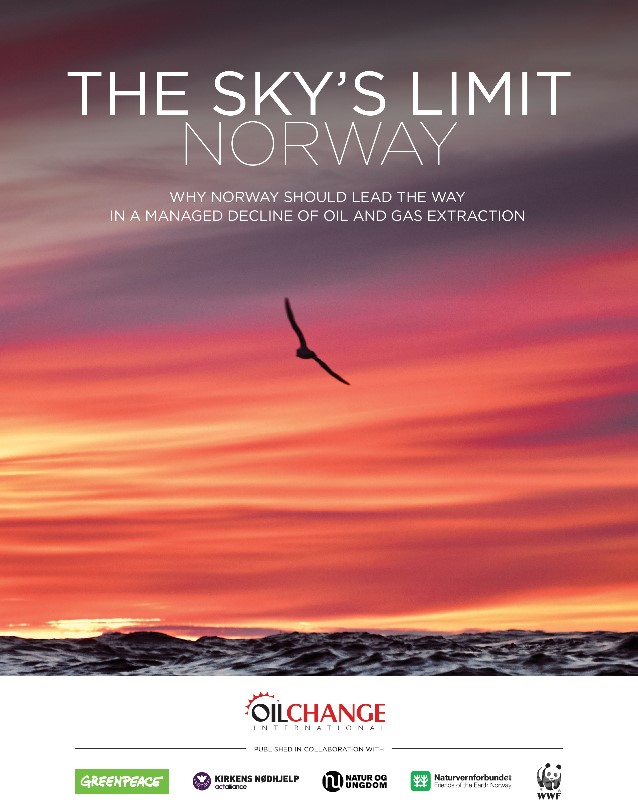 Bilde av The Skys Limit rapportforside