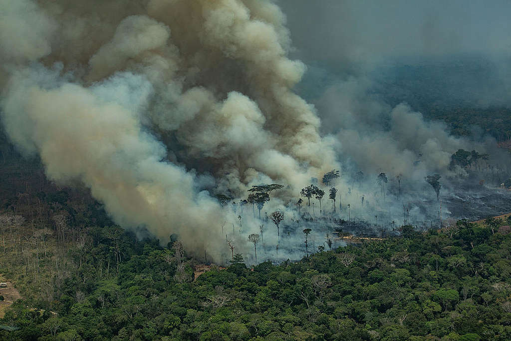 Forest Fires in Candeiras do Jamari, Amazon - Second Overflight (2019). © Victor Moriyama / Greenpeace