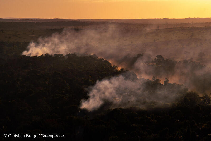 Branner i Amazonas, i Alta Floresta i delstaten Mato Grosso, tatt i juli 2020. 