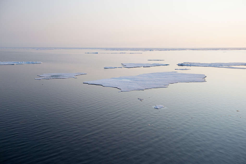 Arctic Sea Ice. © Nick Cobbing / Greenpeace