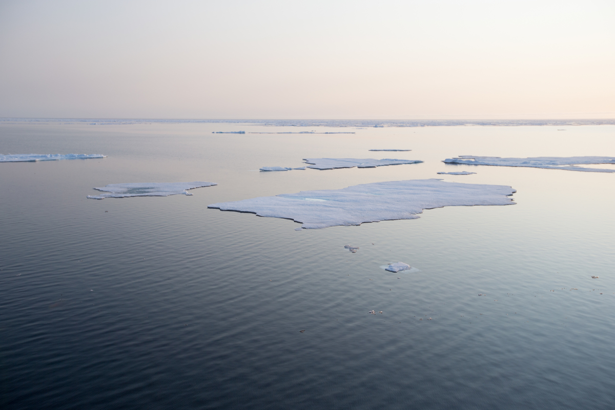 Seier i kampen mot Wisting – Greenpeace jubler