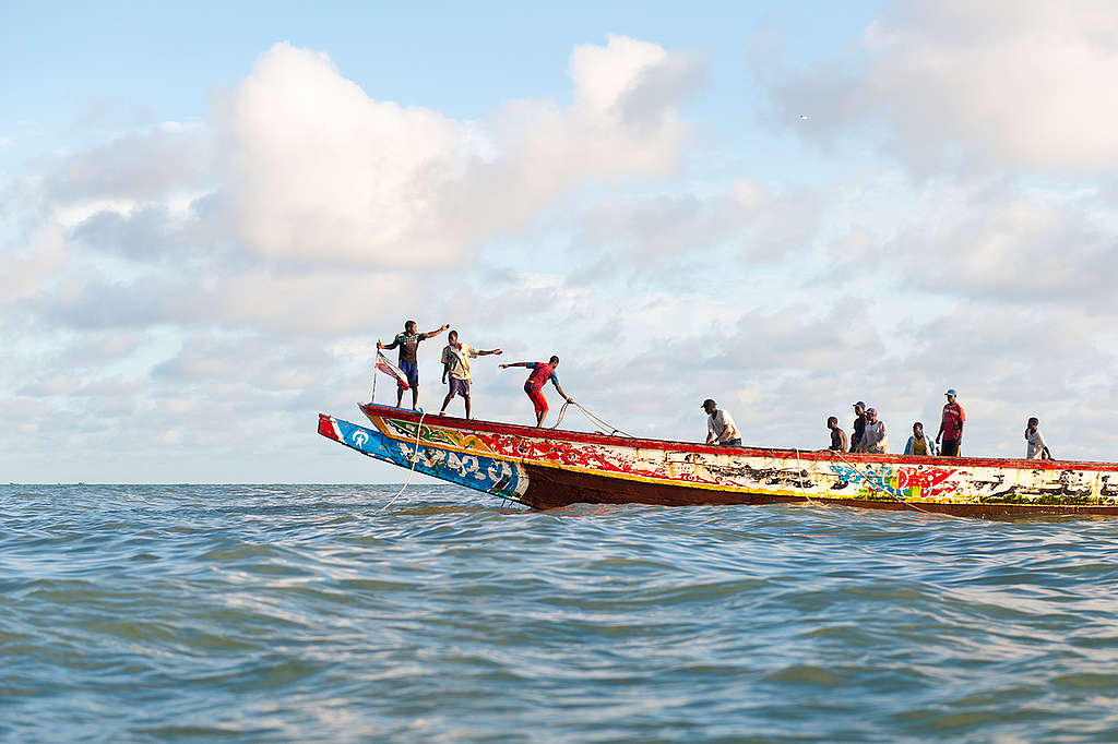 Artisanal Fishermen in Senegal. © Clément Tardif / Greenpeace