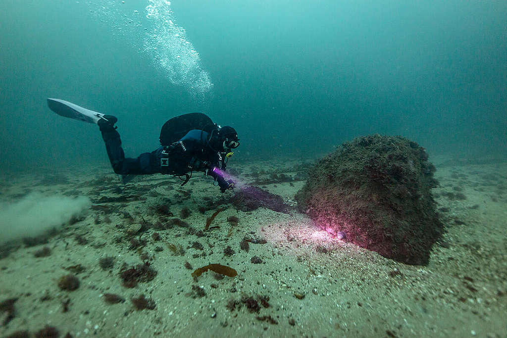 Documentation in Fladen Marine Reserve, Kattegat Sea.