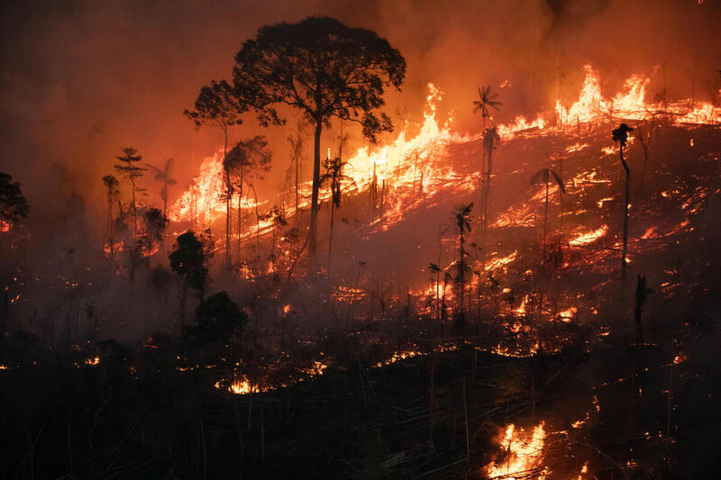 Brann og avskoging i Porto Velho i Amazonas i Brasil.