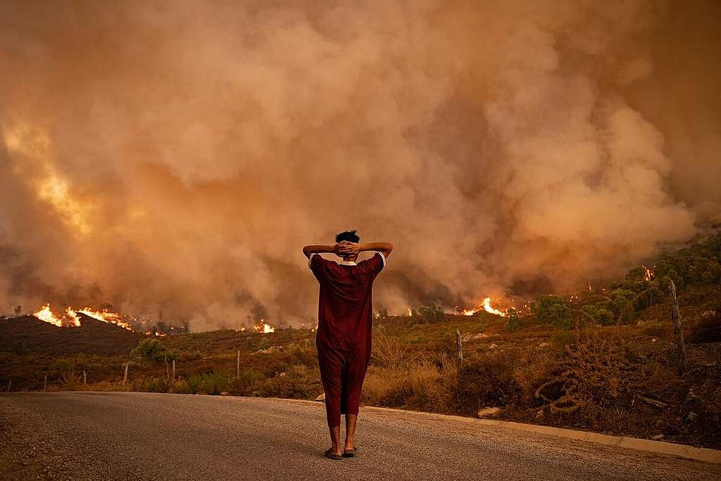 En kvinne ser mot skogbrann i Chefchaouen, Marokko. 
