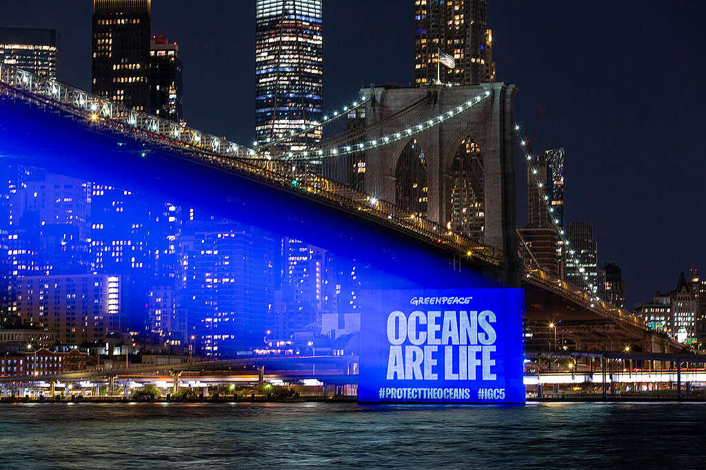 Greenpeace projiserte en tydelig beskjed til FN-landene på Brooklyn Bridge i New York under forrige havforhandlingsrunde i 2022. Budskapet var: "Oceans are Life"