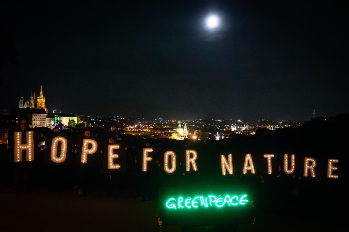 Global Day of Action before Biodiversity COP16 - Prague, Czechia. © Greenpeace / Anna Šolcová Global Day of Action before Biodiversity COP16 - Prague, Czechia. © Greenpeace / Anna Šolcová
