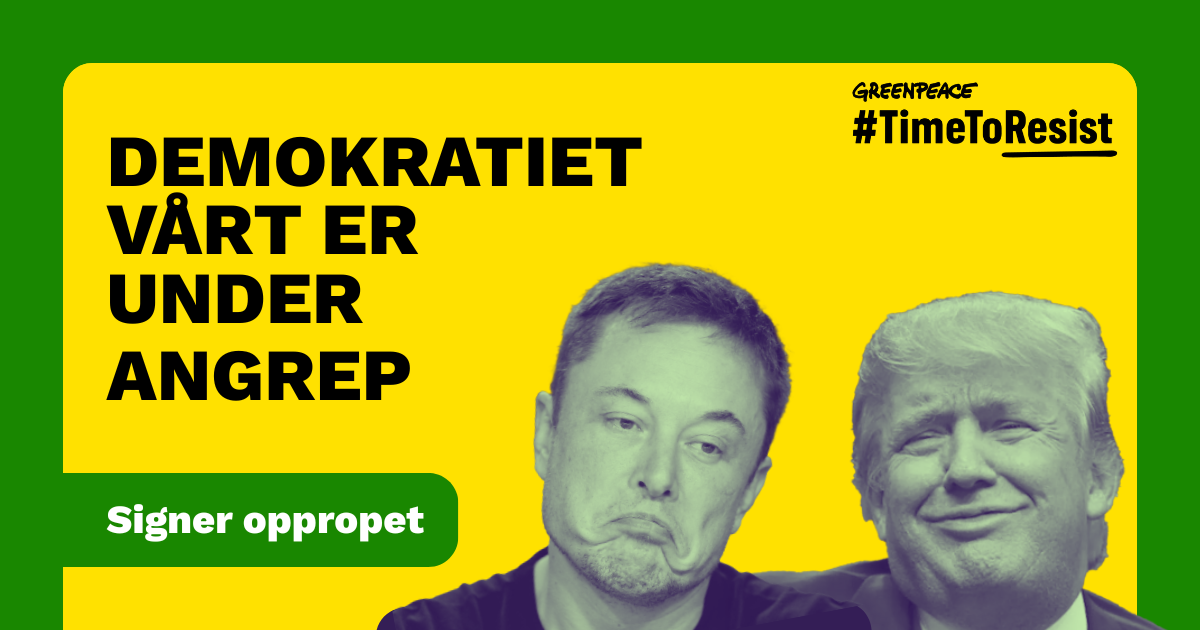 Vis motstand mot Trump: Signer for ytringsfriheten