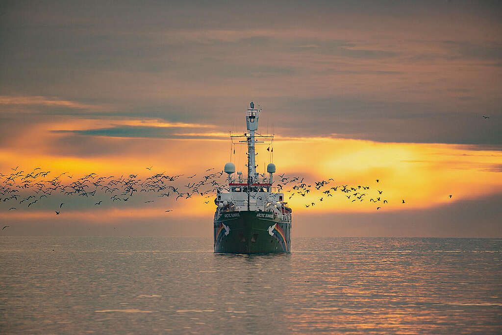 Arctic Sunrise in the Argentine Sea. © Martin Katz / Greenpeace Arctic Sunrise in the Argentine Sea. © Martin Katz / Greenpeace