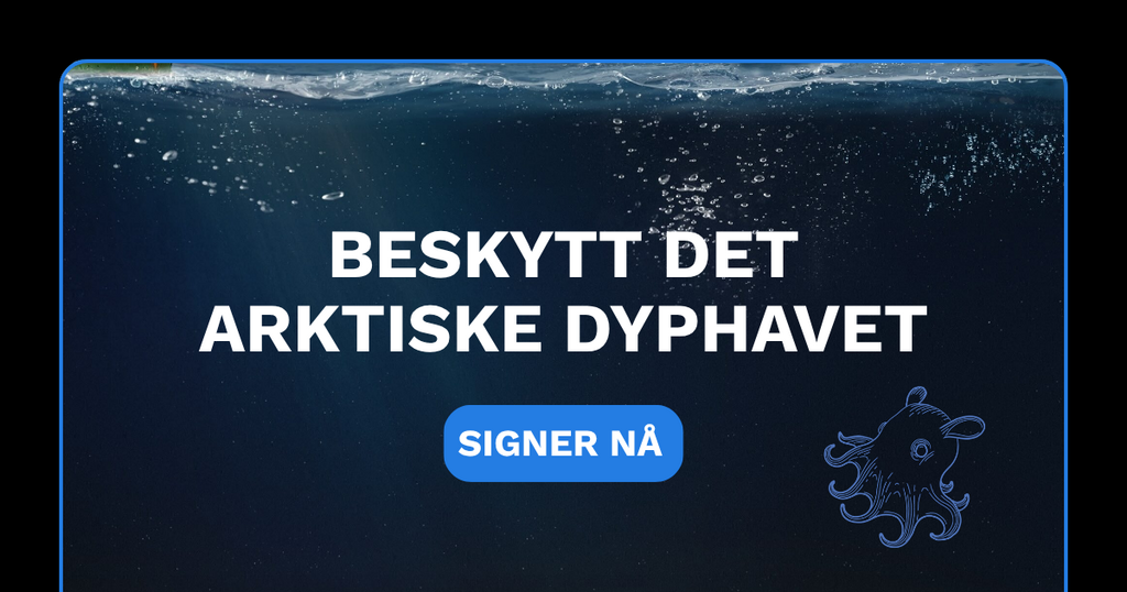 Bildet med teksten: Beskytt det arktiske dyphavet. SIGNER NÅ.