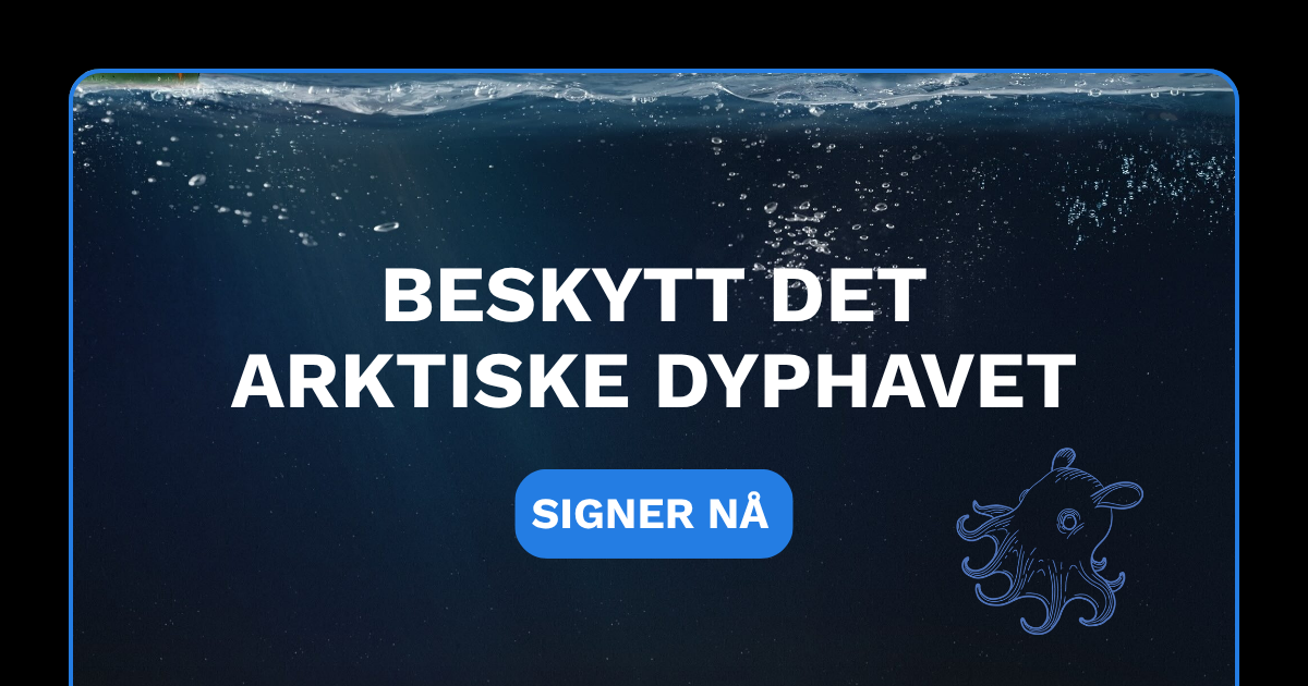 Bildet med teksten: Beskytt det arktiske dyphavet. SIGNER NÅ.