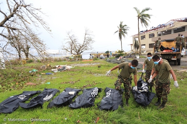 The authorities collect dead bodies, victims of the typhoon, near the Tacloban City Hall. 