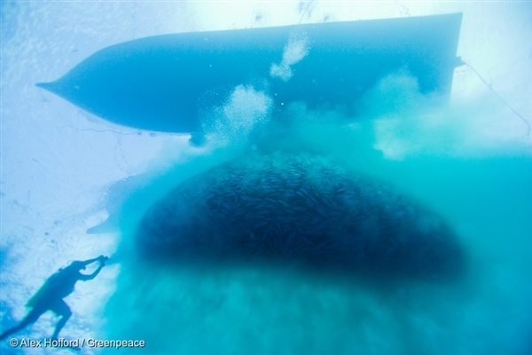 Philippine Purse Seine Fishing Operation