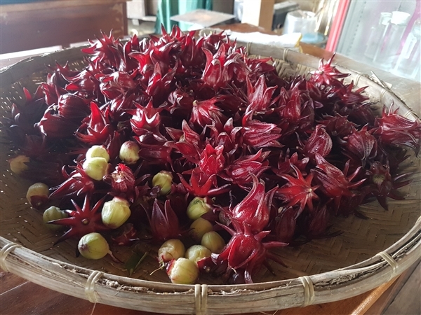 Bukid ni Bogs for "A Million Acts of Blue"