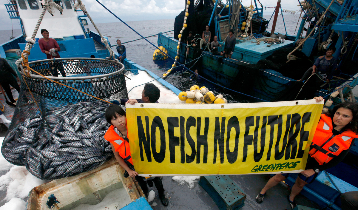 Banner on Philippine Purse Seine Vessel. © Alex Hofford / Greenpeace