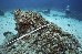 Research at the destroyed marine sanctuary Of Apo Island