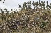 Aftermath of Typhoon Yolanda/Haiyan
