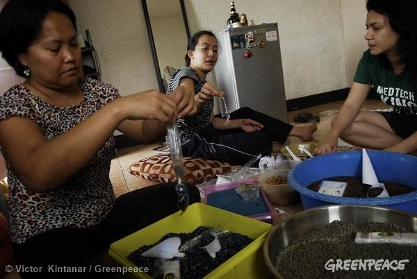 Vegetable Seeds Packing in Cebu City. 12/14/2014 © Victor Kintanar / Greenpeace