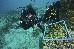 Research at the destroyed marine sanctuary Of Apo Island