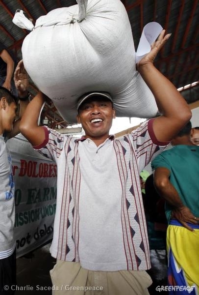 Seeds Distribution For Typhoon Hagupit Affected Farmers in Dolores, Eastern Samar. 12/19/2014 © Charlie Saceda / Greenpeace