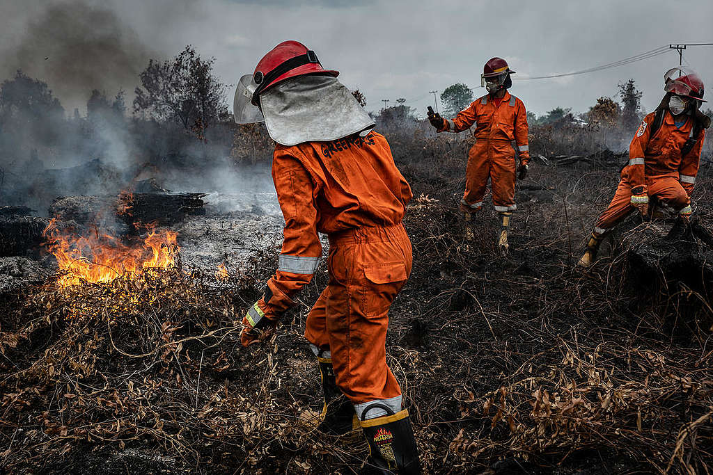 Forest Fires in Tanjung Taruna, Central Kalimantan. © Ulet Ifansasti / Greenpeace