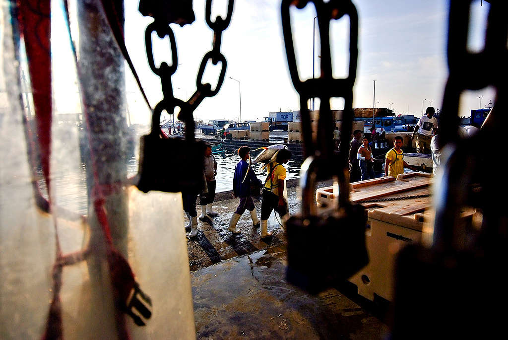 Fishing Port in the Philippines. © Veejay Villafranca / Greenpeace