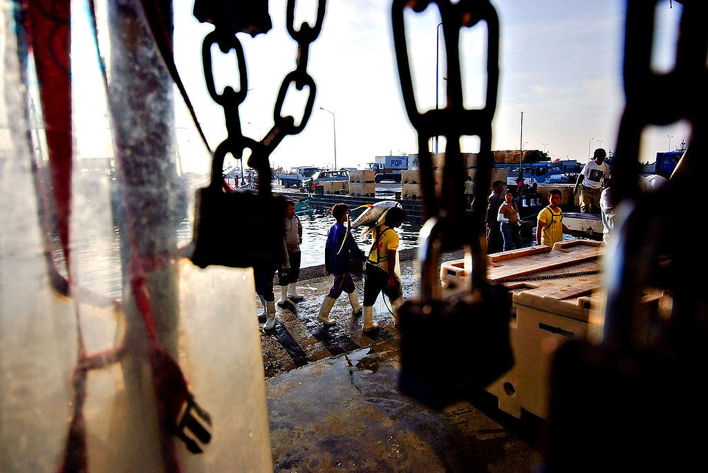Fishing Port in the Philippines. © Veejay Villafranca / Greenpeace Fishing Port in the Philippines. © Veejay Villafranca / Greenpeace